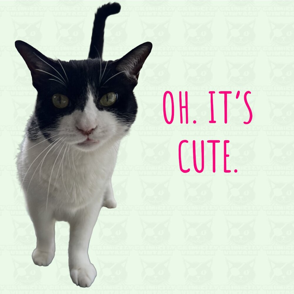 ⚡️ SATURDAY NIGHT VIBES: Free People, Anthropologie, Urban Share Show! ⚡️ - Picture 4 of 6